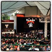 Concert solo 2014 0825_woodlands slash (16)